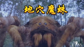 肖战版唐三成“挂王”，八蛛矛秒杀地穴魔蛛，只因小舞叫了一声