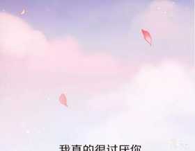 朝花惜时明日回归！连更5天
