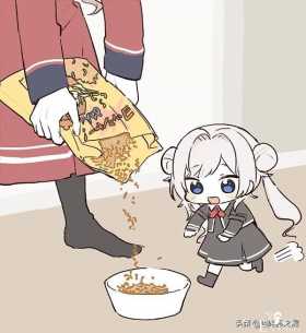 故事漫画：当你一次性给猫碗里加太多猫粮之后