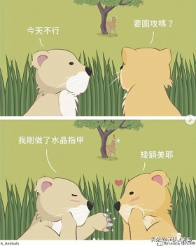 「短漫」一大大波超可爱暖萌搞笑小漫画