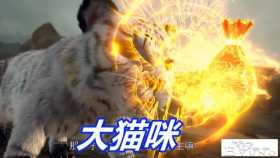 完美世界：先斩猫咪后虐山鸡，石昊彻底爆发，欺负“女胖子”找死
