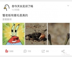 美国封禁的两集《海绵宝宝》，网友表示：双手赞成，再封几集