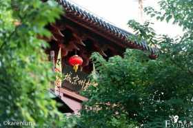 忙里偷闲下杭州，夏日里的穿越小确幸