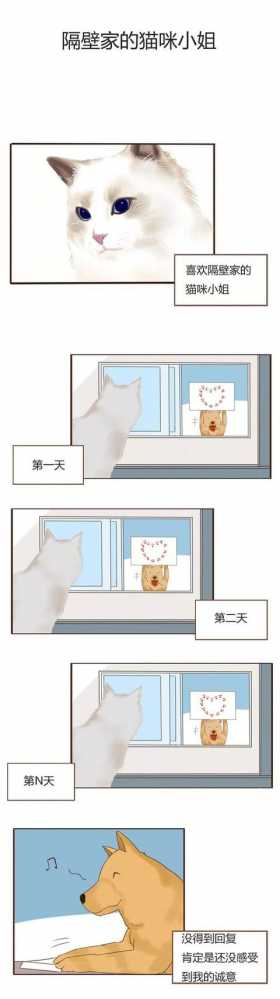 漫画《表白》这位喵咪小姐越看越爱了