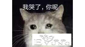 没点体重压得住我的美貌吗？