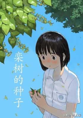 「故事漫」栾树的种子