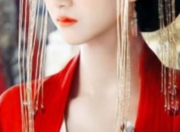 皇帝是个女装癖-13.梁国内乱向魏国求援