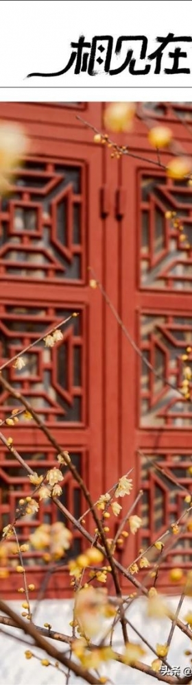 @所有人，留在武汉过春节最全游玩指南来啦！