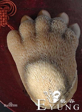 我发现一个穿帮，动画中的动物都只有4根手指？