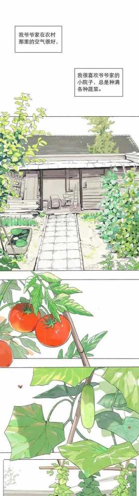 漫画：树欲静而风不止，子欲养而亲不待。别给自己留下遗憾