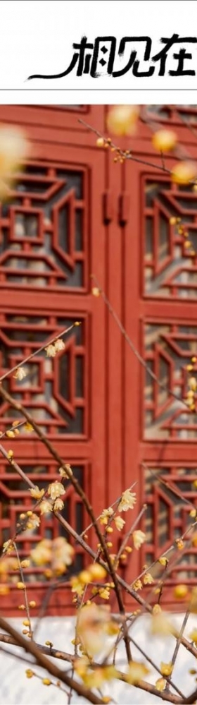 @所有人，留在武汉过春节最全游玩指南来啦