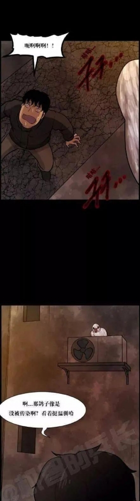 漫画故事：当鸽子被大规模感染后