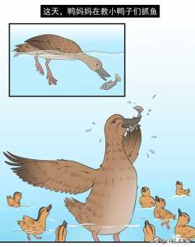 漫画故事：团结就是力量