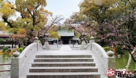 福冈自由行：到「宗像市」参拜世界遗产神社、品尝稀有海产美食