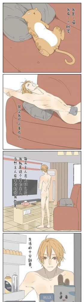 猫：没想到你是这样的铲屎官 #二次元条漫# #漫画# ​