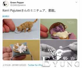 国外网友用猫的毛做了只“小猫”，真的超治愈