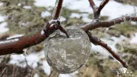 不仅仅有梦幻般的冰苹果，日本的雪人也太二次元了