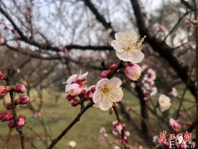 来东湖享春节文旅盛宴，在武汉花式过大年