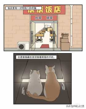 漫画故事：八卦的猫