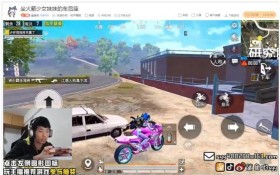 和平精英最帅皮肤登场？令吃鸡一哥爱不释手，赞不绝口！