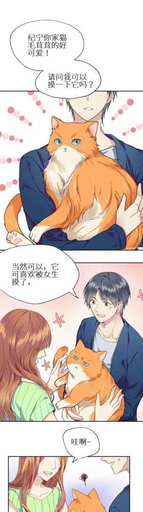 <漫画>如何让你的橘猫减肥01