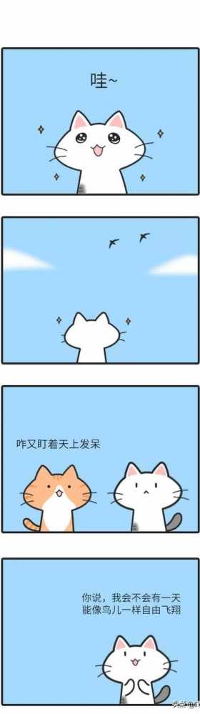 漫画：别傻了，宠物不会传播