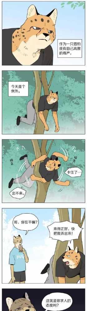 搞笑漫画：不要搞我了好伐